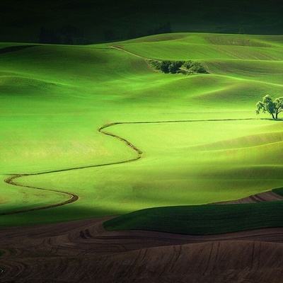 狗万manbetapp下载