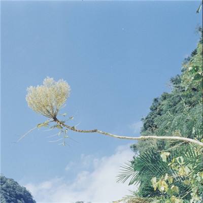 加拿大pc试玩平台